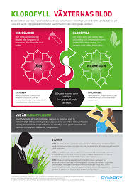Proteins perform a vast array of functions within organisms. Klorofyll Vaxternas Blod