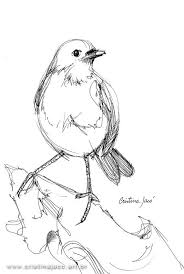 Framed Bird Drawing Line Drawing Black And White Art Bird Drawings Bird Line Drawing Line Drawing