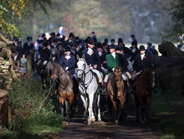 Hundreds of illegal hunts took place in British countryside last autumn, animal rights group says | The Independent | The Independent