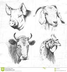 Farm Animals Vintage Set Vector Download From Over 60 Million High Quality Stock Photos Images Vectors Sign Up For Pig Illustration Farm Animals Animals