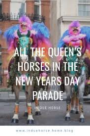 Horse Blog About The Horses In London S New Year S Day Parade In Due Horse Equestrian Blog Article Equestrian Blog Parades Horse Equestrian