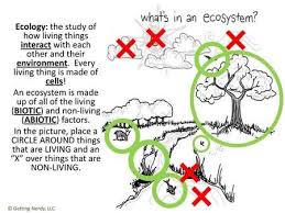 Biotic And Abiotic Factors In An Ecosystem Slideshare Ecology The Study Of How Living Things Interact With Each Other And Their Environment Every Living Thing Is Made Of Cells An Eco In 2020 Ecosystems Abiotic Protists