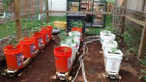 Rain Gutter Grow System Update Maryland Grows