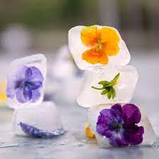 Mimosa Lane Edible Flowers Edible Flowers Edible Roses Edible Rose Petals