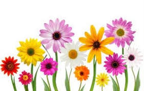 Free May Flowers Clipart Spring Flowers Images All Flowers Images Flower Images Free