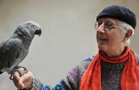 Hugh Flint's Instagram, Twitter & Facebook