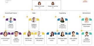 65 Described Cross Functional Organizational Structure