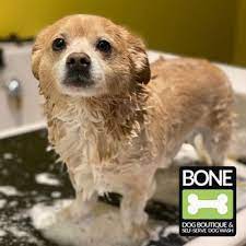 Our mission is to create the healthiest dog treats using only wholesome human ingredients so that every dog will have a healthy and delicious treat to enjoy. Bone Dog Boutique Self Serve Dog Wash 491 Photos 25 Reviews Pet Groomers 100 Ne 2nd St Oklahoma City Ok Phone Number
