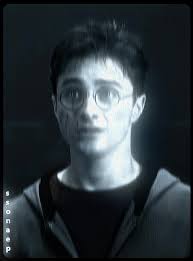 #HARRYPOTTER || [inst: ssonaepp] #ssonaep