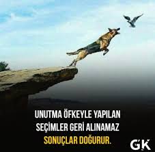 Adana Avukat Asile Betul Yayla Adli Kullanicinin Yasam Terapisi Panosundaki Pin 2020 Motivasyon Motivasyon Sozleri Kariyer