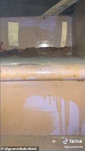 Couple Buys New Home And Discovers Attic That S Inaccessible From The Rest Of The House Daily Mail Online
