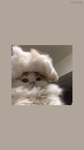 Pin By Irem Gungor On All Wall Cute Cat Wallpaper Cat Wallpaper Cute Cartoon Wallpapers