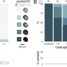 I would suggest you try achartengine for your project. Pdf A Simple And Effective F0 Knockout Method For Rapid Screening Of Behaviour And Other Complex Phenotypes