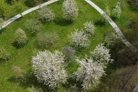 Wann die apfelblüte genau beginnt, ist außerdem von der strenge des winters abhängig apfelblüte in südtirol * eines der prächtigsten naturspektakel kann man in südtirol im frühling erleben. Apfelblute In Bayern Hat Begonnen Streuobstwiesenwunder