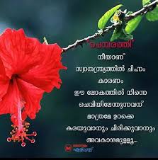 Pin By Bindhu On Malayalam Quotes Writings Malayalam Quotes Quotes Writing