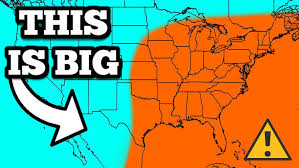 Quail Family Crossing the Street