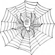 Tractor owners love their machinery. Printable Spider Web Coloring Pages Coloringme Com