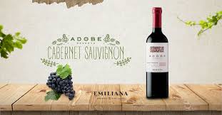 A red wine from central valley, chile. Emiliana Vineyards Vinosemiliana Twitter