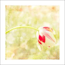 State of texas and the largest city in and seat of dallas county, with portions extending into collin, denton,. Elevation Of Downtown Dallas Tx Usa Topographic Map Altitude Map