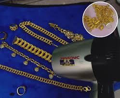 Cari pokok ni, cabut sepokok, basuh cuci dgn akar, batang, daun dan buah. Khasiat Pokok Susu Nabi Penawar Mujarab Untuk Masalah Gout Strok Keluarga