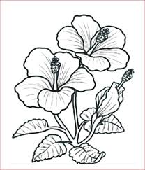 • sketsa bunga matahari (sangat mudah untuk belajar menggambar). 30 Gambar Sketsa Bunga Mudah Bunga Matahari Mawar Tulip Sakura Teratai Sepatu Melati Dll Seni Budayaku
