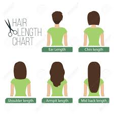 Hair Length Chart Back View 5 Different Hair Lengths