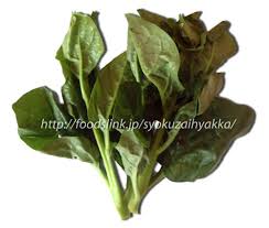 ツルムラサキ 蔓紫 つるむらさき 旬の野菜百科