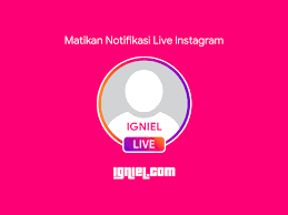 Apakah notifikasi tidak muncul di smartphone? Mematikan Notifikasi Live Video Instagram Yang Mengganggu Igniel