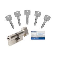 Check spelling or type a new query. Cylindre De Serrure Bricard A6 Bouton L 30 30 Mm Leroy Merlin