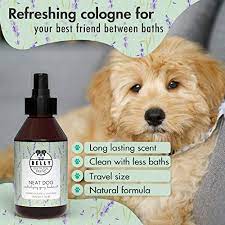 Belly Dog Deodoriser Spray Natural Dog Perfume Spray And Dog Cologne Spray Dog Spray For Smelly Dogs Grooming Products For Dogs Dog Deodorant Spray Puppy Spray Puppy Perfume Spray 250 Ml