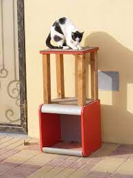 Pin On Pet Friendly
