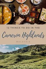 Cameron highlands is a popular stop between penang and kuala lumpur, famous for its tea plantations and. The 12 Best Things To Do In The Cameron Highlands We Are Travel Girls Cameron Highlands Travel Destinations Asia Travel Fun