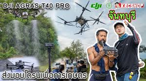 Belleniko เดินป่า