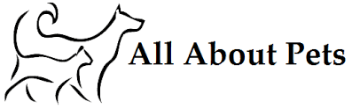 4707 n sheridan rd, peoria, il 61614 Veterinarian In Omaha Ne All About Pets Veterinary Center