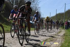 The latest tweets from @bertdebacker Bert De Backer Giant Alpecin In The Saint Python Section Photographs Velowire Com Photos Videos Actualites Cyclisme