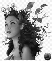 The character shown here has the hair in plaits but it can also be loose, drawn up into a add relevant items to the female elf drawing. Elf Female Fairy Woman Elf Hair Accessory Black Hair Elf Png Pngwing