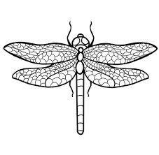 How To Draw A Dragonfly 11 Steps Instructables