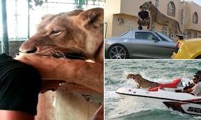the rich guys with lions of instagram show off their incredible wealth the incredibles lions guys
