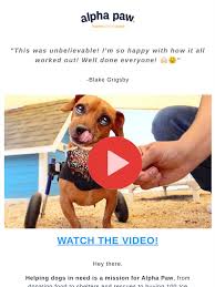 Club k9 las vegas is your top of the line k9 training facility. Alpha Paw We Ve Teamed Up With The Youtube Superstar Rocky Kanaka To Make This Happen Milled