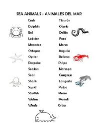 Sea Animals In Spanish Matching By Carol S Class Tpt