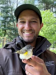 Ovenbird spotted in Patapsco Valley State Park