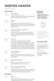 Download our curriculum vitae (cv) templates & examples for free! Pin On Skola