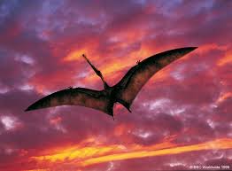 Channel description of bbc news: Walking With Dinosaurs Bbc Earth Shows Bbc Earth
