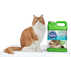 Find A Store Cat S Pride
