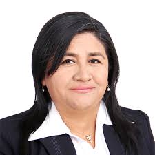 Directorio de Recursos Humanos afines a la CTI