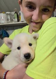 Zookeeper Diaries: Meet the Munchkins! Our female capybara “Munch” had her  first litter of babies! The three little munchkins, named “Blueberry,  Pumpkin, and Sprinkles” (as in 'munchkin donut flavors') are just three