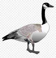 Download For Free Goose Icon Canadian Goose Clipart Hd Png Download Vhv