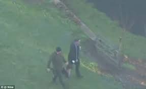 Deal direct with a registered breeder. German Wirehaired Pointer Breeder Warns Dog Should Not Be Pets After Girl Mauled In Neerim Junction Daily Mail Online
