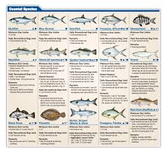 Tampa Bay Fishing Calendar Fishing Charters St Pete Beach