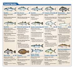 Tampa Bay Fishing Calendar Fishing Charters St Pete Beach